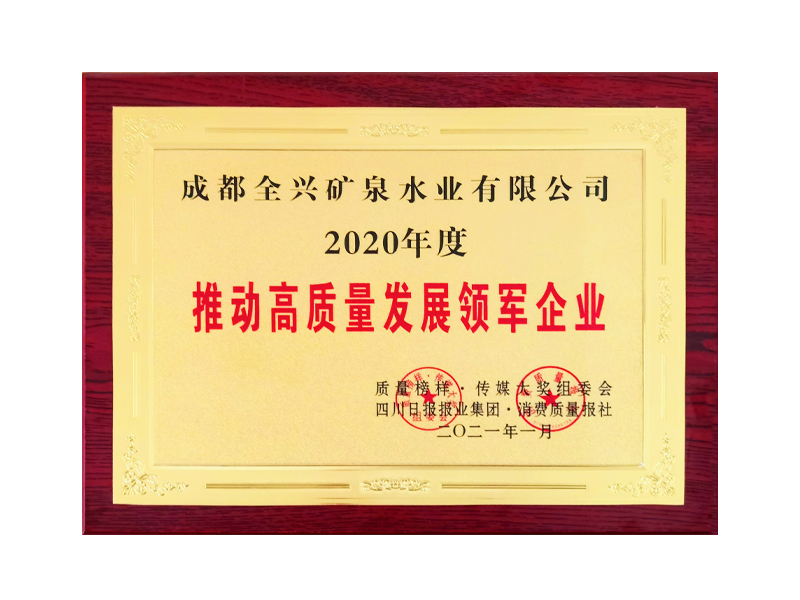 2020年度推動高質(zhì)量發(fā)展領軍企業(yè)